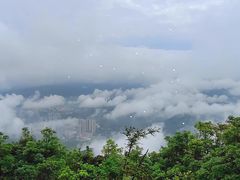 -梧桐山风景名胜区