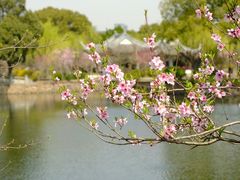 -无锡蠡湖国家湿地公园-蠡园