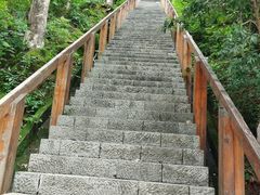 -云碧峰国家森林公园