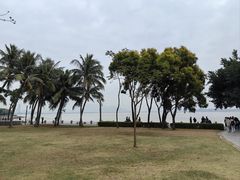 -深圳湾公园(南山区)