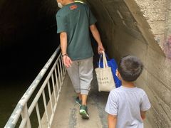 -白水寺森林公园