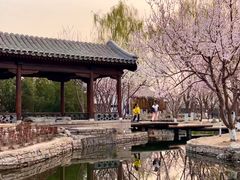 -三里河公园