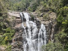 -海南热带雨林国家公园吊罗山景区