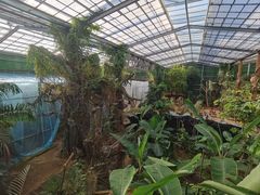 -呀路古热带植物园