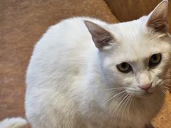 -春阳水饺(香槟广场店)