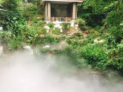 -青青世界