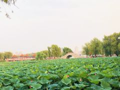 -长春市南湖公园