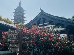 -常熟方塔园