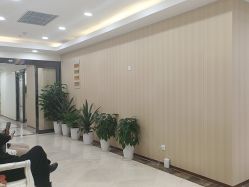 -上海伊莱美医疗美容医院
