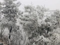 -妙峰山风景名胜区