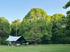 -上海吴淞炮台湾国家湿地公园