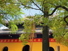 -西园戒幢律寺