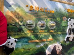 -成都动物园