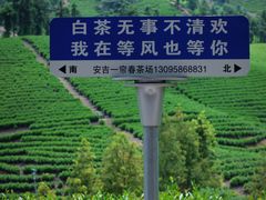 -长谷洞天