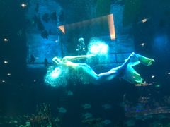 -海棠湾洲际-涛·海底餐厅·美人鱼·自助餐·海底隧道