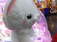 -天空之城·明日世界(南亚店)