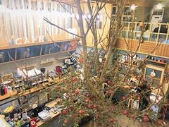 -Cafe Alice咖啡爱丽丝(奥城店)