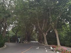 -棒棰岛宾馆景区