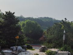 -大兴滨河森林公园