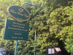 -Fern Forest Cafe
