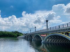 -长春市南湖公园