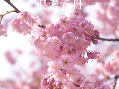 -南山植物园