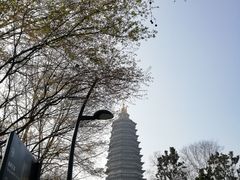 -红梅公园