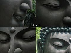 -杭州植物园