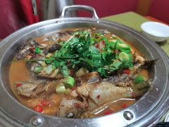 -全乐鱼馆·淳牌有机鱼直营店