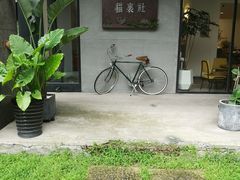 -猫里有甜