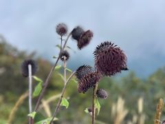 -罗田天堂寨风景区