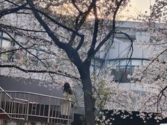 -上海南浦大桥长途旅游客运站
