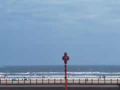 -港畔赶海蒸汽海鲜烧烤自助(仙螺岛店)