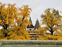 -北京石刻艺术博物馆(五塔寺)