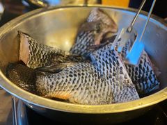 -草墩罗非鱼庄•野生菌•腊排骨(七星街上段店)