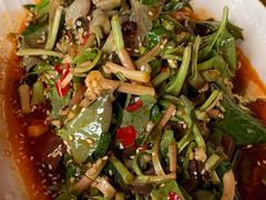 -代木儿回锅肉