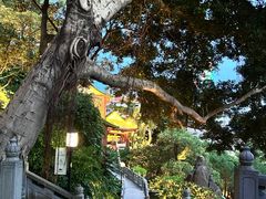 -鸿山公园