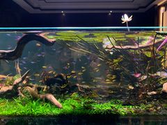 -玥汐·3D影院式足道SPA(万泰城店)