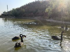 -静之湖度假区