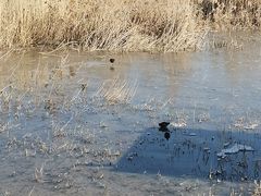 -保定东湖公园(莲池区)