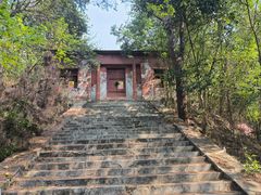 -青龙山国家森林公园
