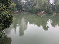-西苑公园