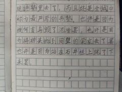 -赵汝飞练字硬笔书法(博泰国际校区)