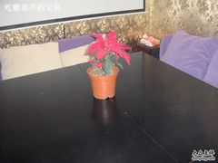 -FullHouse桌游狼人跑团剧本杀(徐家汇店)