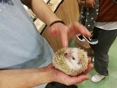 -藦茜花园宠物主题亲子互动体验馆(国顺东路店)