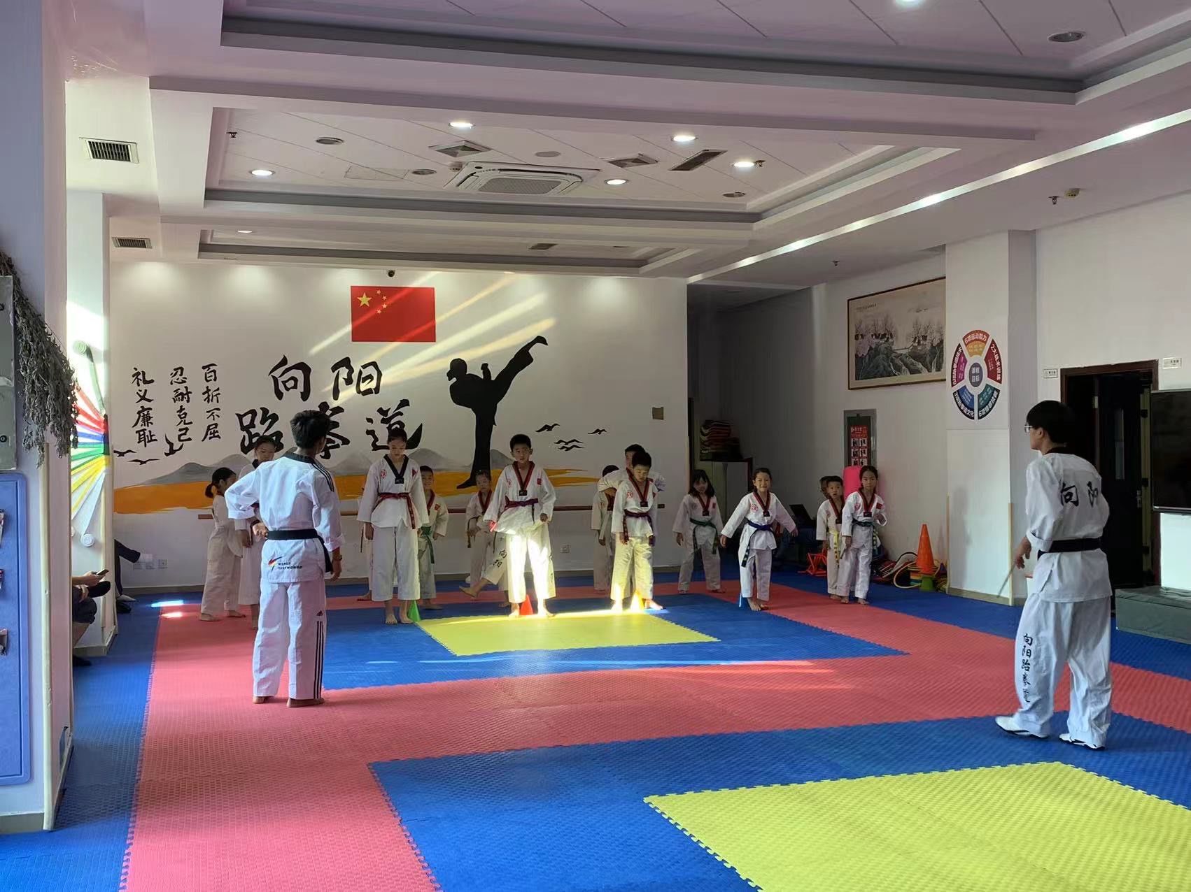 拼搏在跆拳道的每一刻