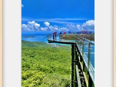 -亚龙湾热带天堂森林公园