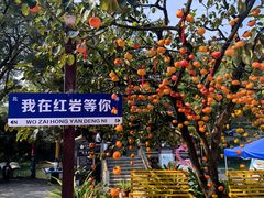 -凤凰山斑鱼馆(恭城店)