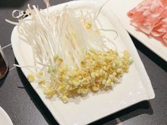 -蜀九香火锅(彩虹店)