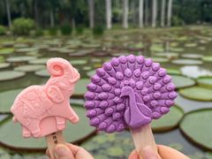 -中国科学院西双版纳热带植物园